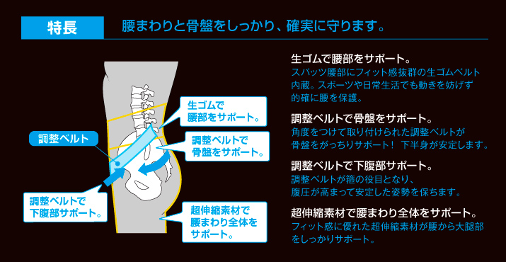 特長:腰まわりと骨盤をしっかり、確実に守ります。