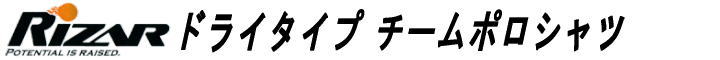 ドライタイプ チームポロシャツ